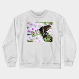 Phlox & Butterfly Crewneck Sweatshirt